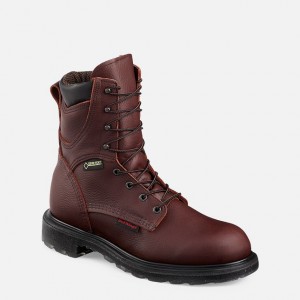 Red Wing 8-inch Waterproof Soft Toe Boot | WFLCJGM-35